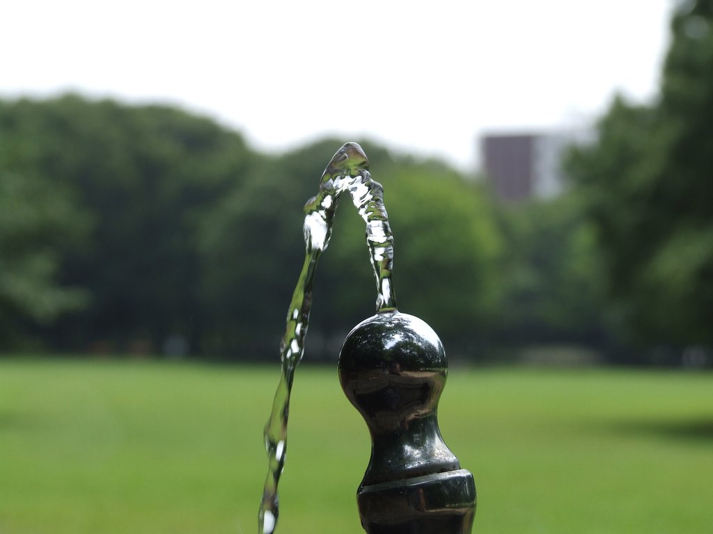 今年の夏も、、