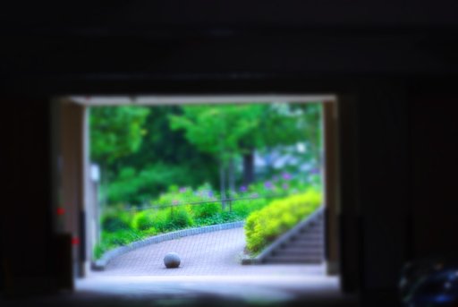 「道」明日への道標