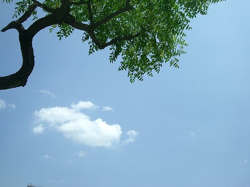 夏空—その７