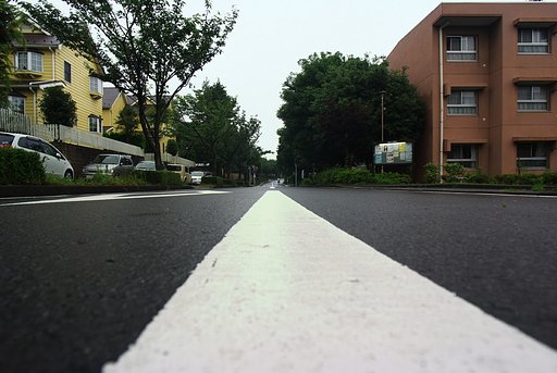 「道」ネコの視点