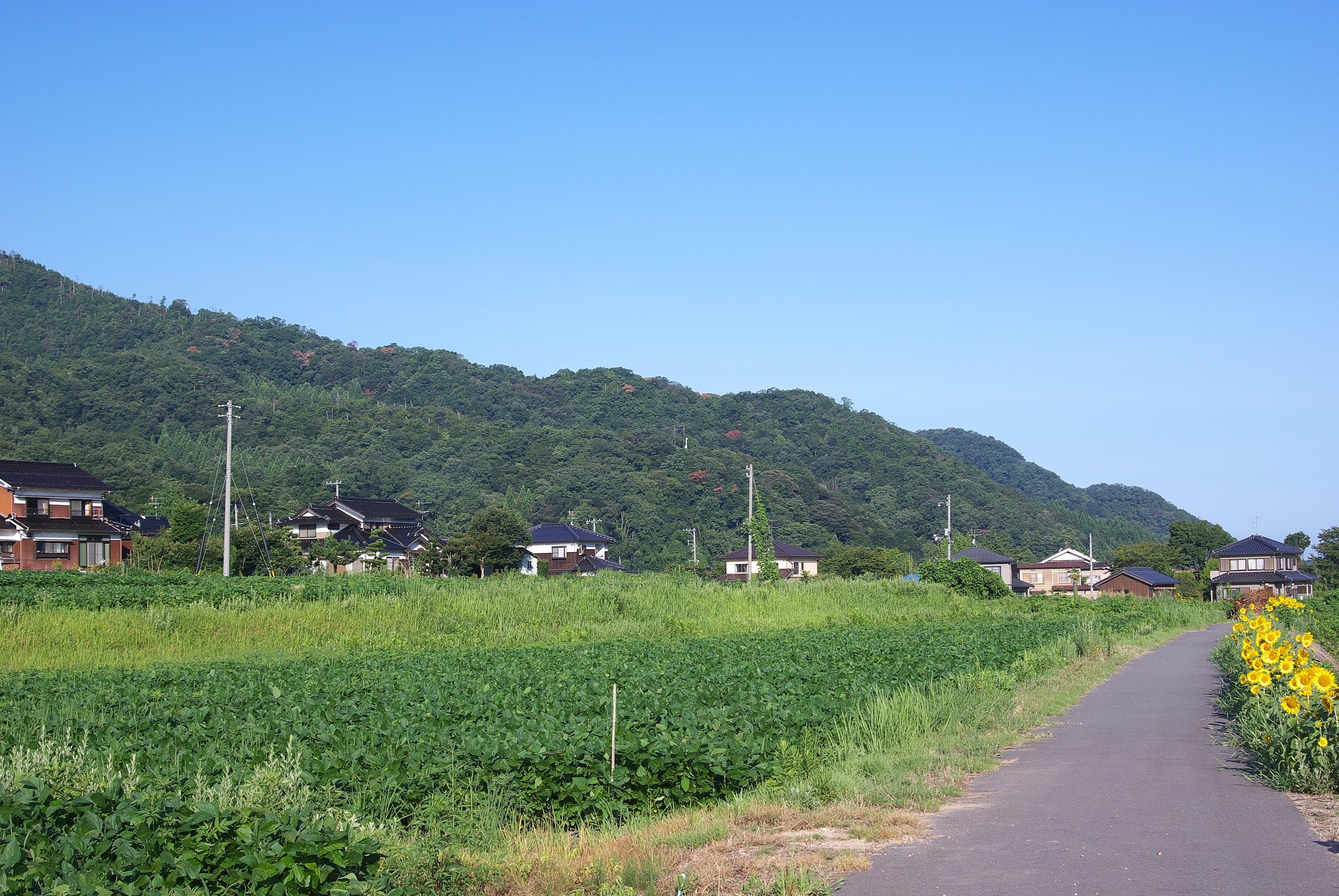 湯かむりの塔と愛宕神社
