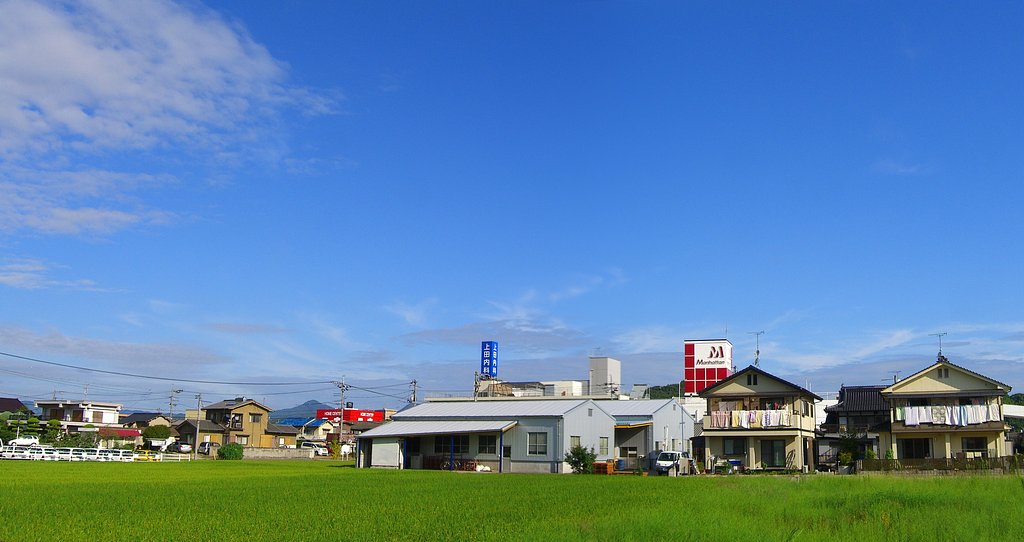晴れました！