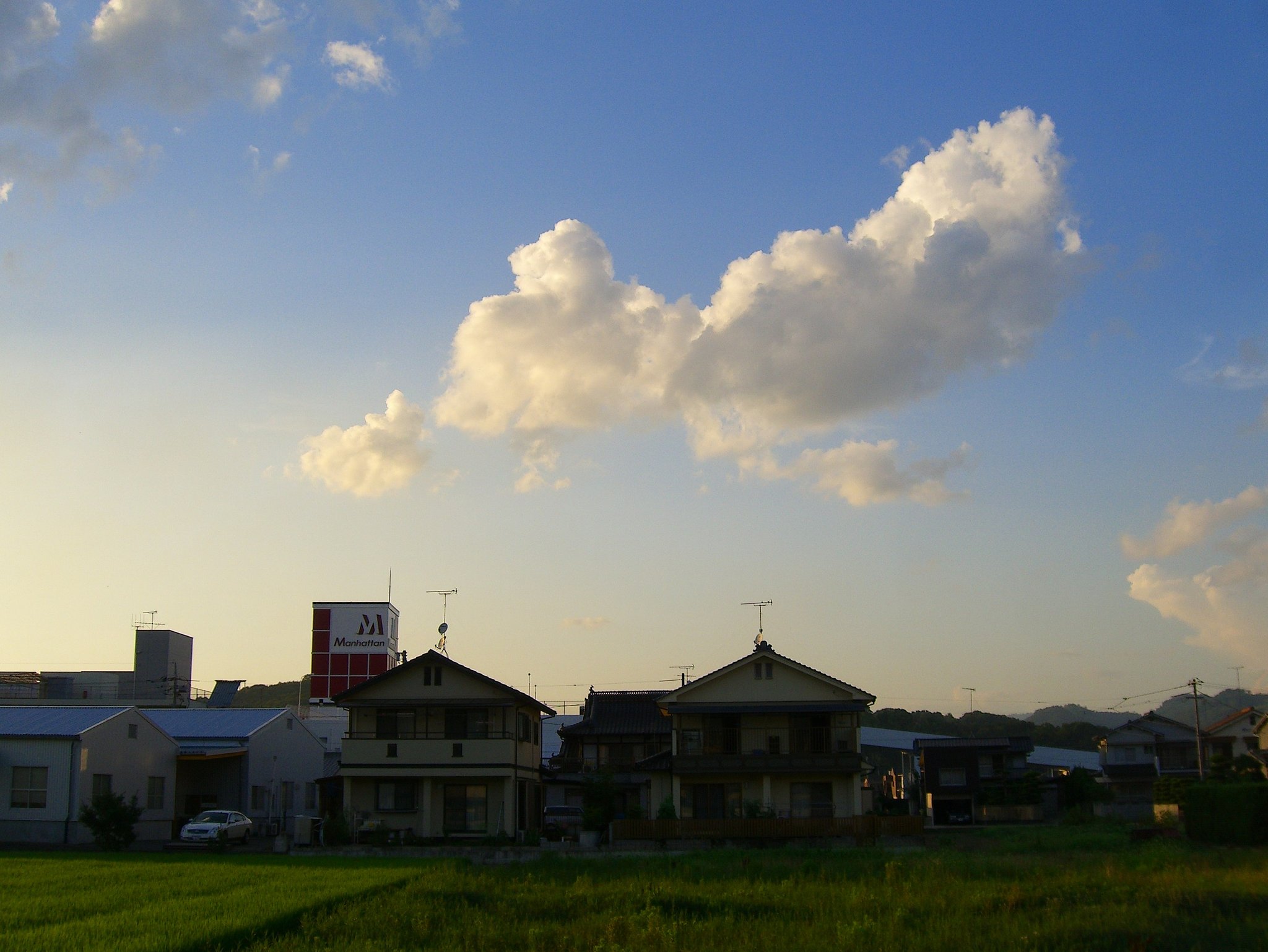 西日