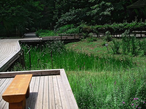 森林公園の熱いベンチ