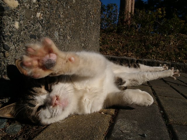 RAWで