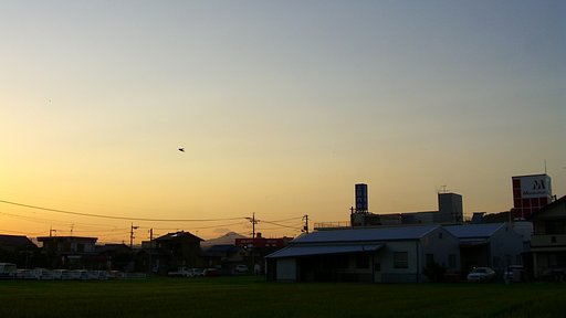 心なしか秋