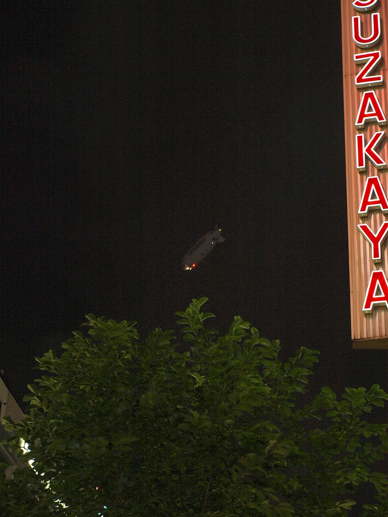 夜の訪問者