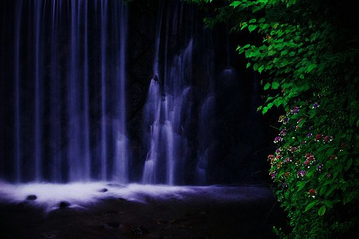 小滝の晩花
