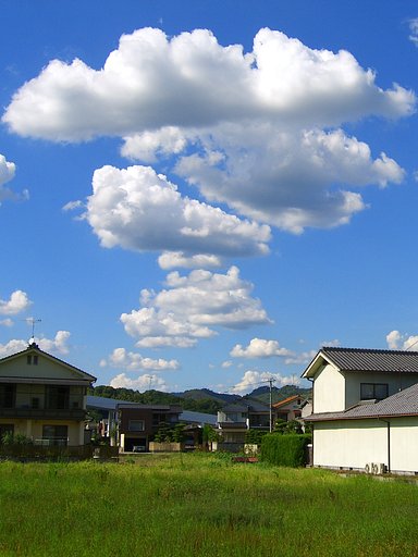 パイプの煙