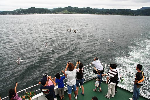鴎ウォッチャー