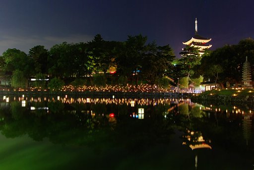 なら燈火会　猿沢池