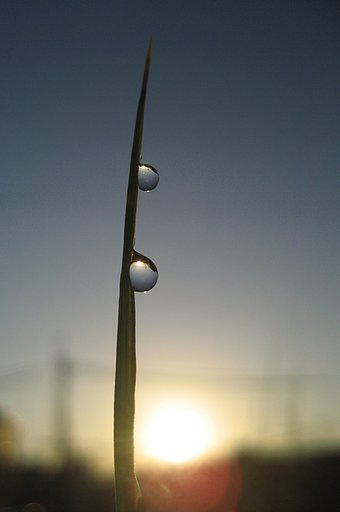 夜明けの朝日達