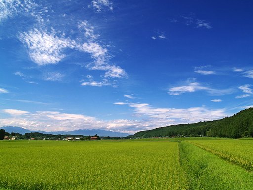 滝のような大雨のあと