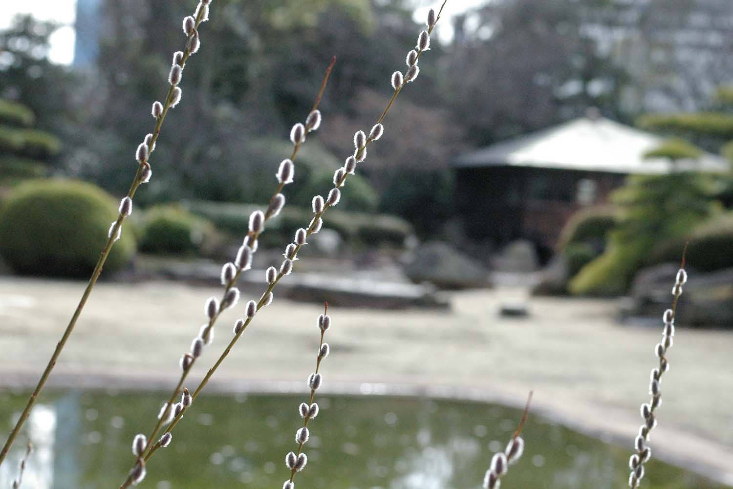 もうすぐ春
