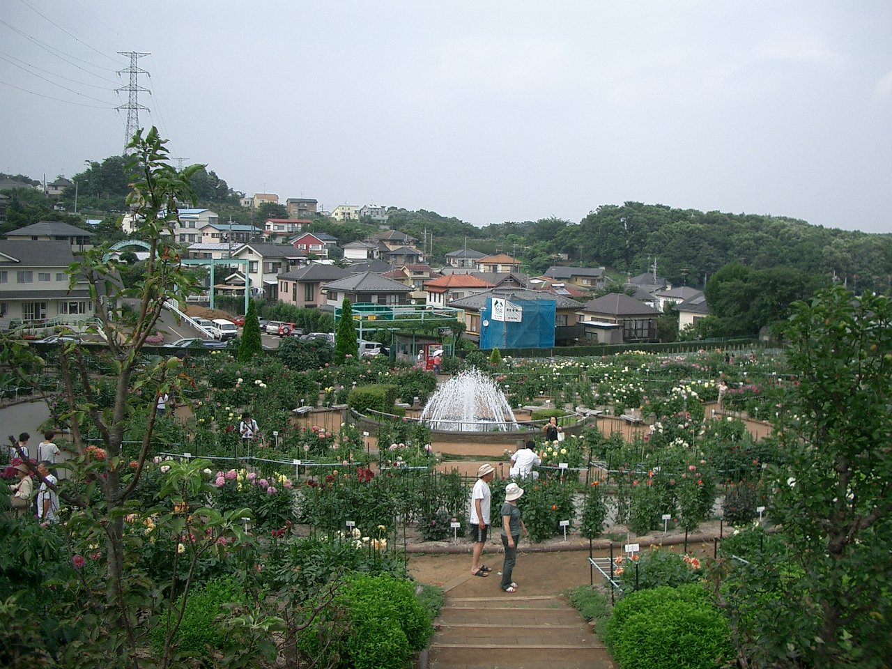 〜町田ダリア園〜