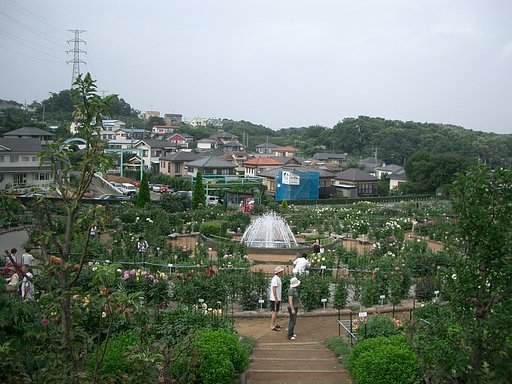 〜町田ダリア園〜
