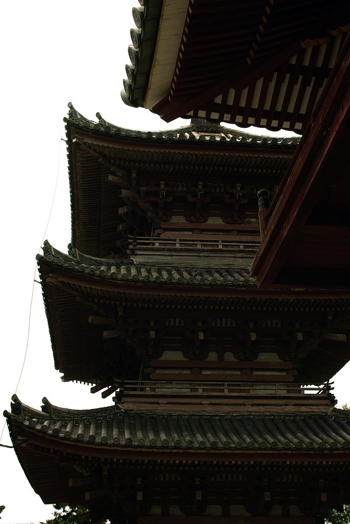 つい　都会の建物を