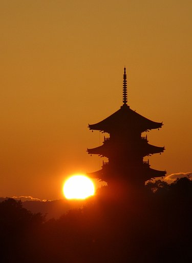 国分寺にて・・・partⅡ