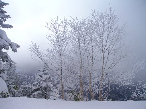 初めての雪景色（コンパクト編）
