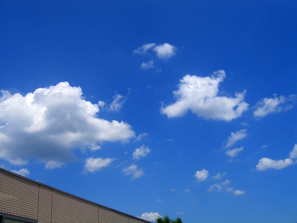 夏空—その４