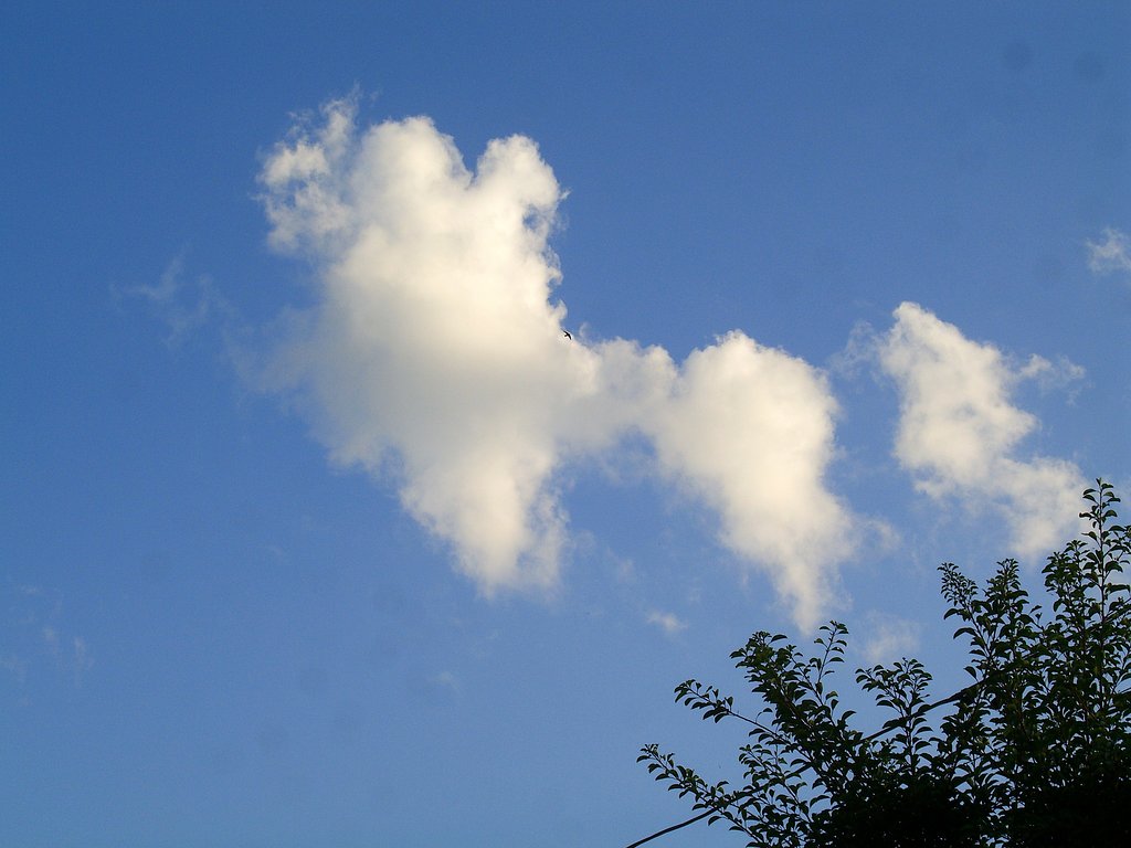 雲の散歩