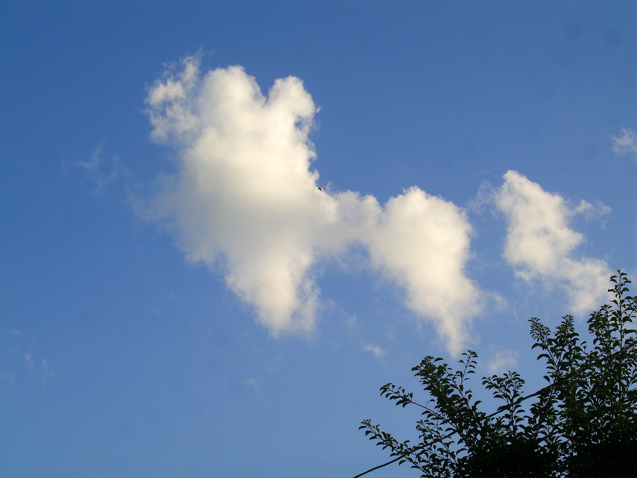 雲の散歩