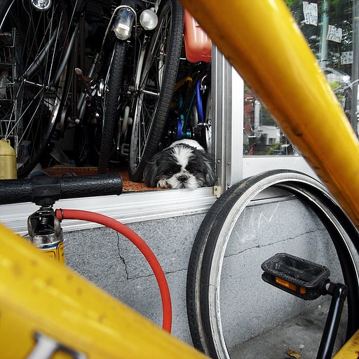 自転車屋さんのご主人