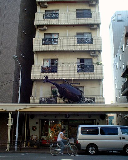 虫発見