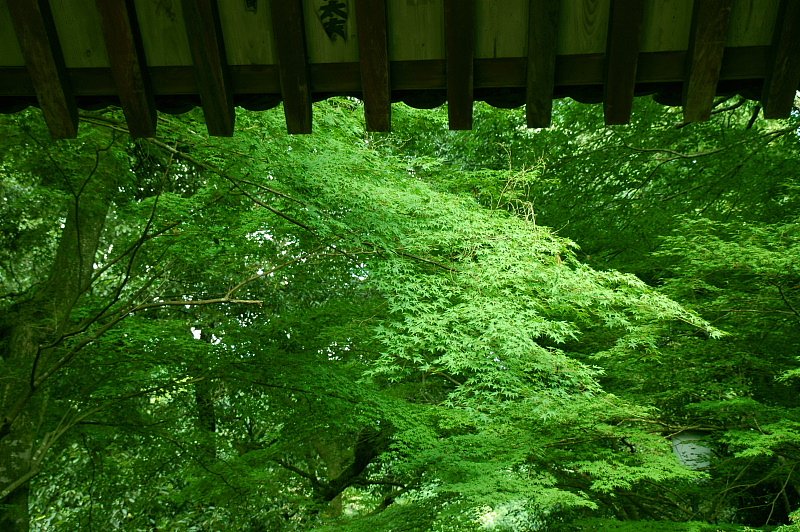 醍醐寺