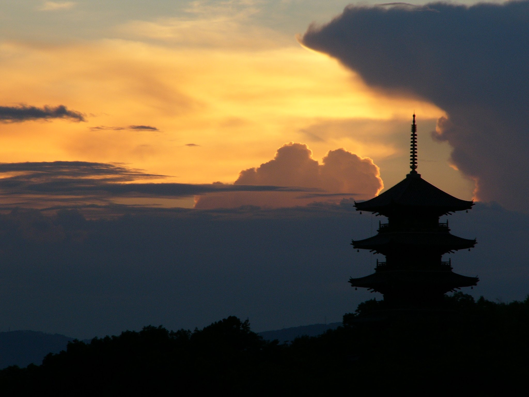 国分寺にて・・・