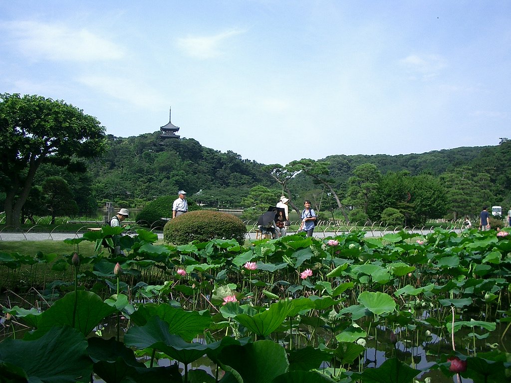 〜横浜三渓園　早朝観蓮会-03-〜