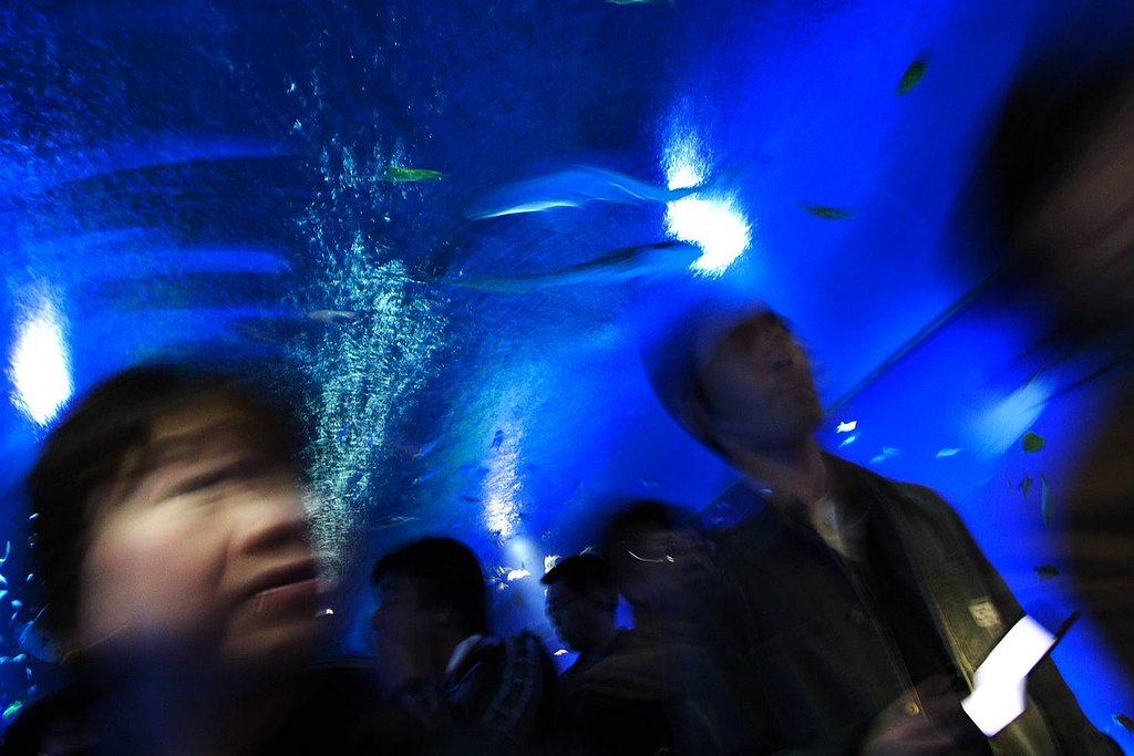 水中歩行