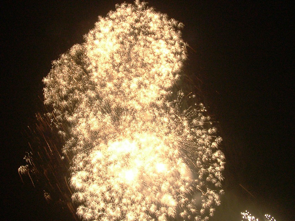 ★夏の夜の夢花火-55 青梅⑧
