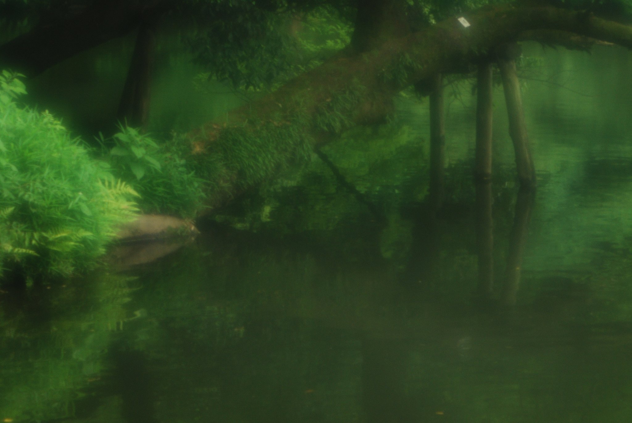 Emil Busch 4inc.F6.5