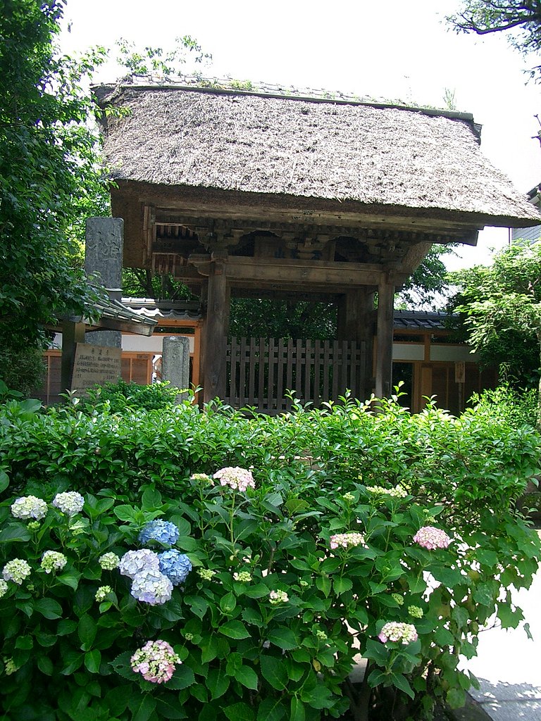 〜鎌倉散策-06-　極楽寺〜