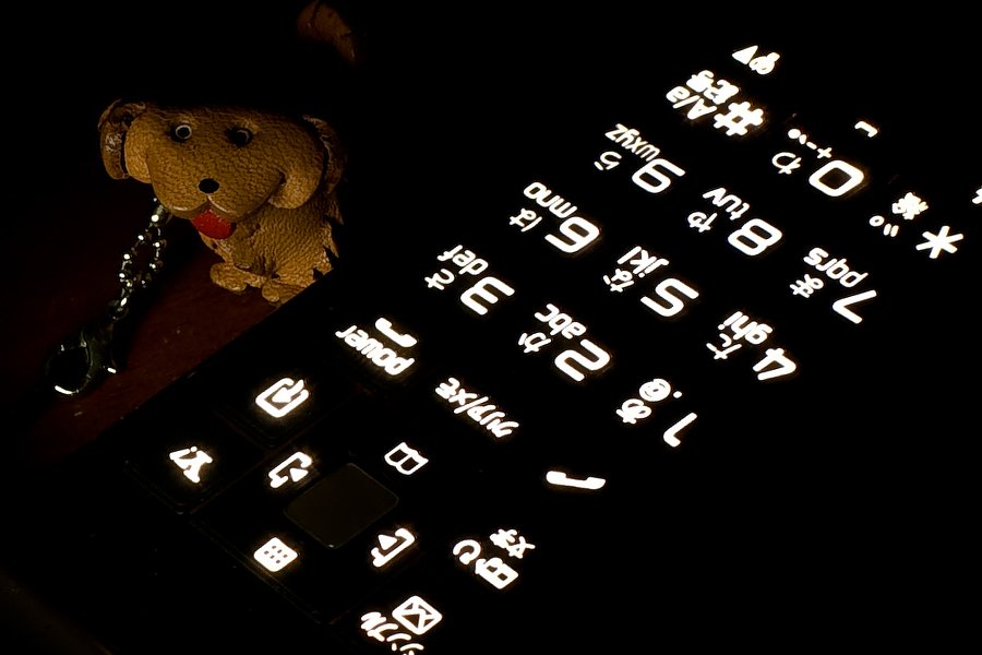 ちょっとした遊び