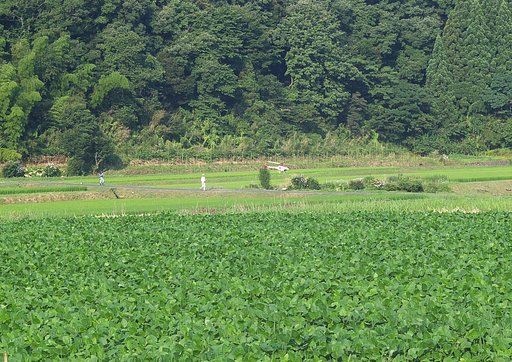 ラジコンヘリで農薬散布