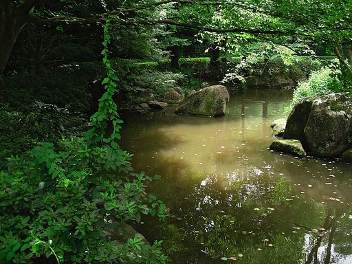 森林公園の庭園