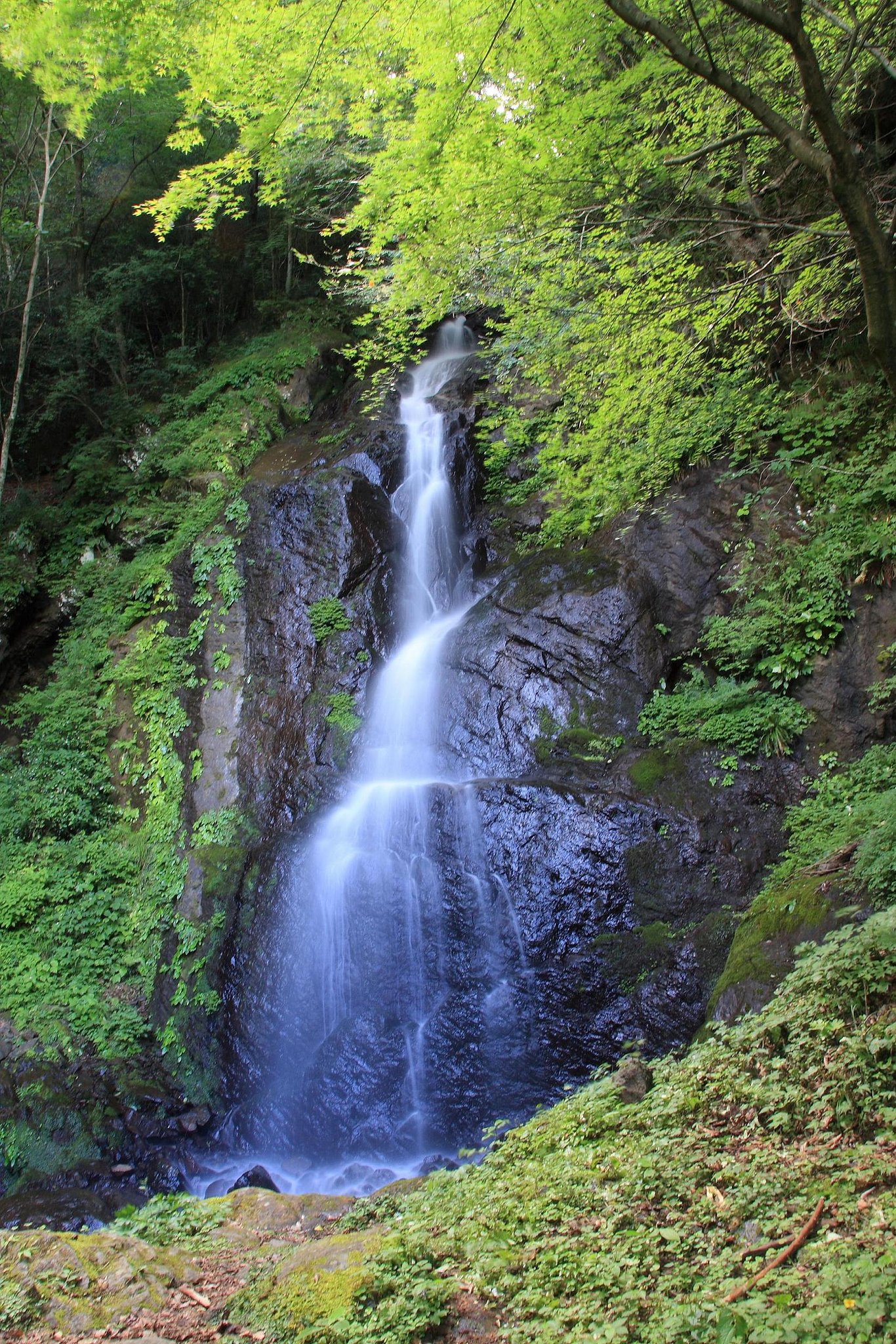 白糸滝