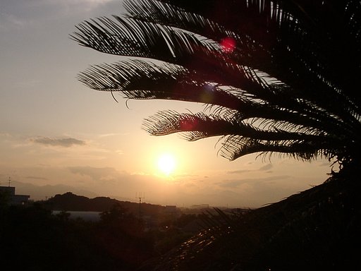 梅雨どきの夕暮れ-２