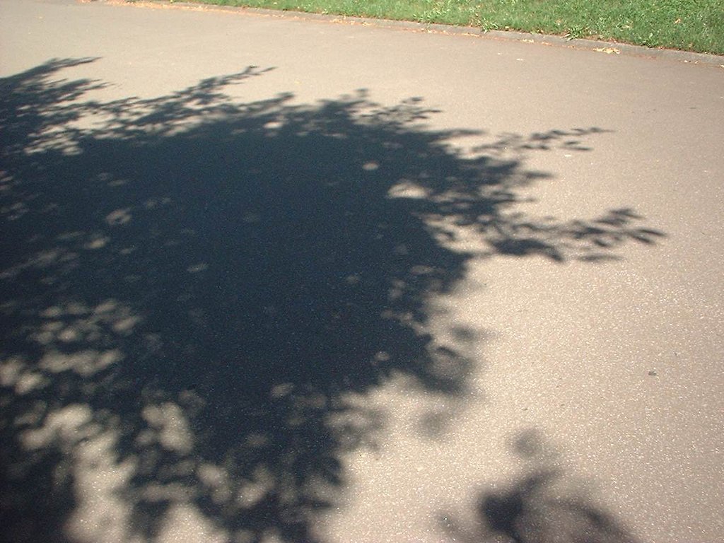 なんの陰
