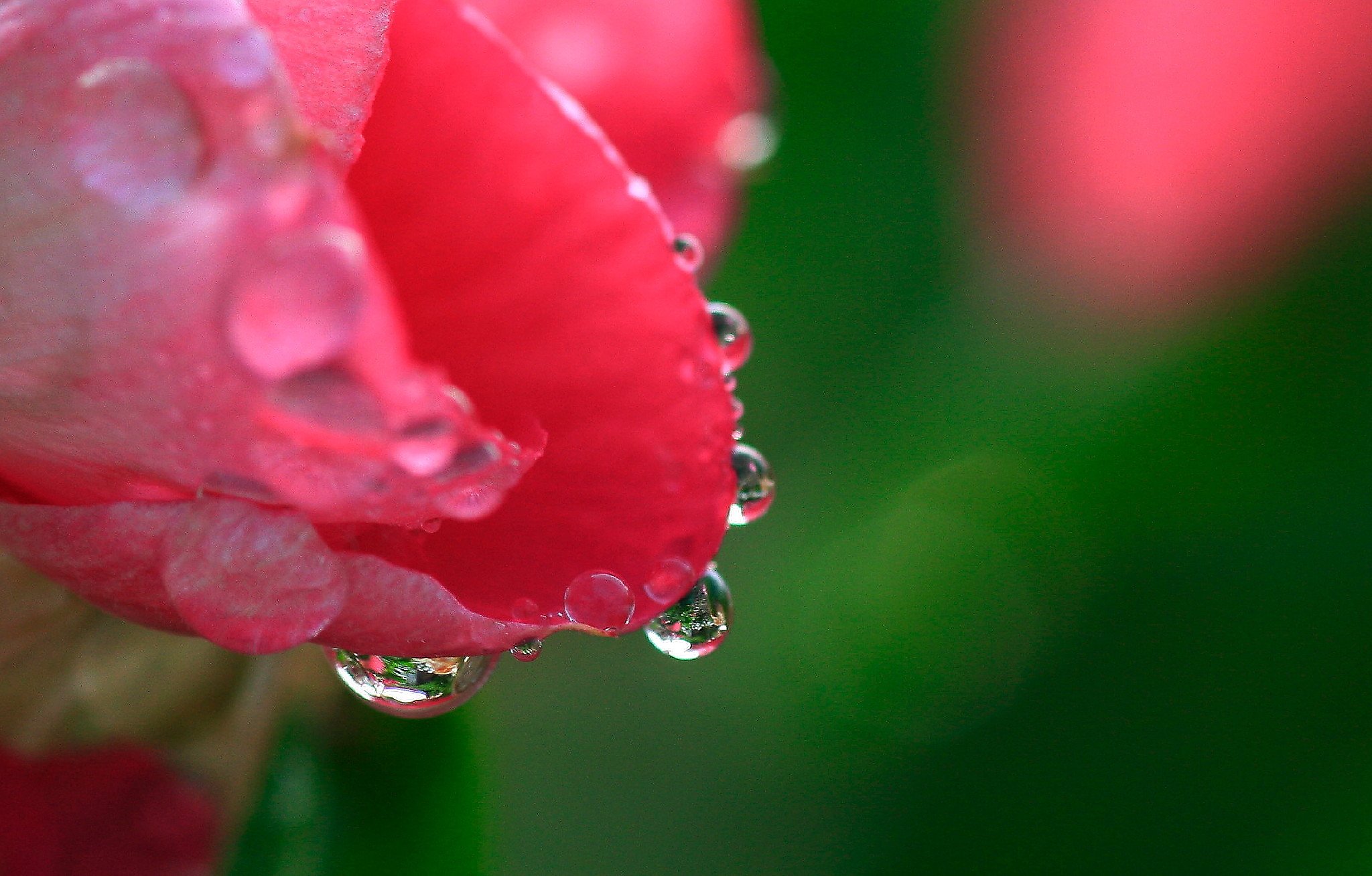 雨上がり
