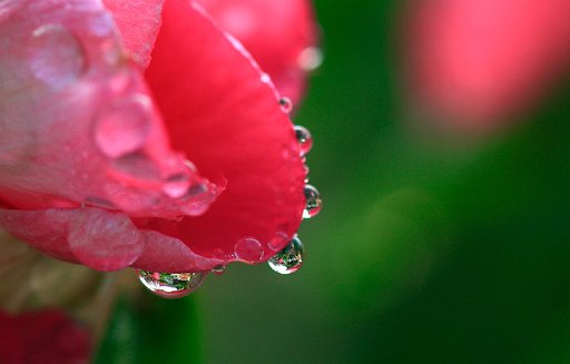 雨上がり