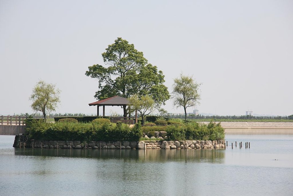 池の中に作った有る島