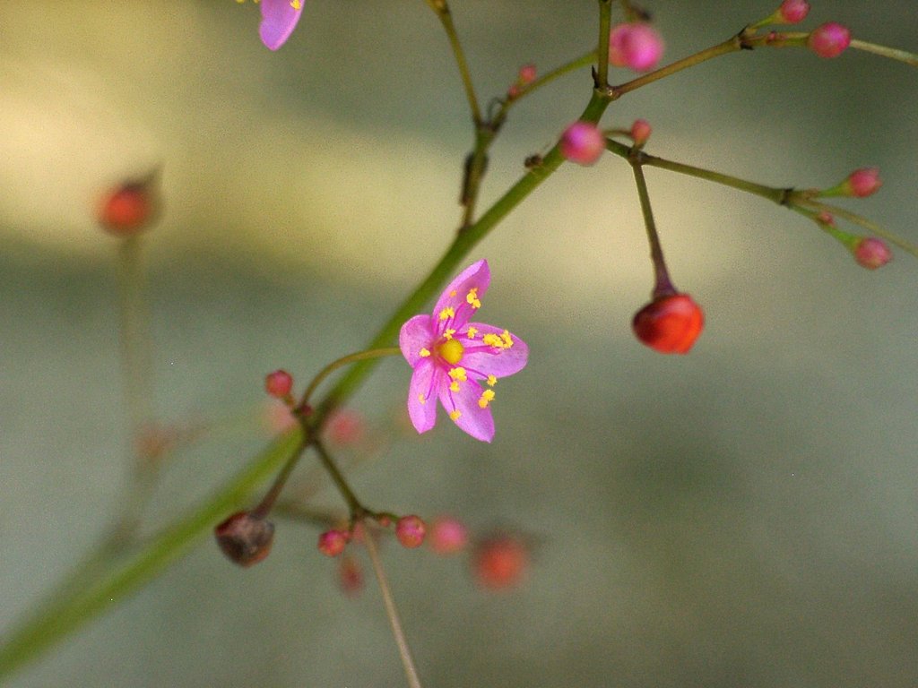 懲りずに