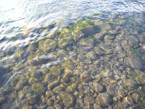 水面が・・・