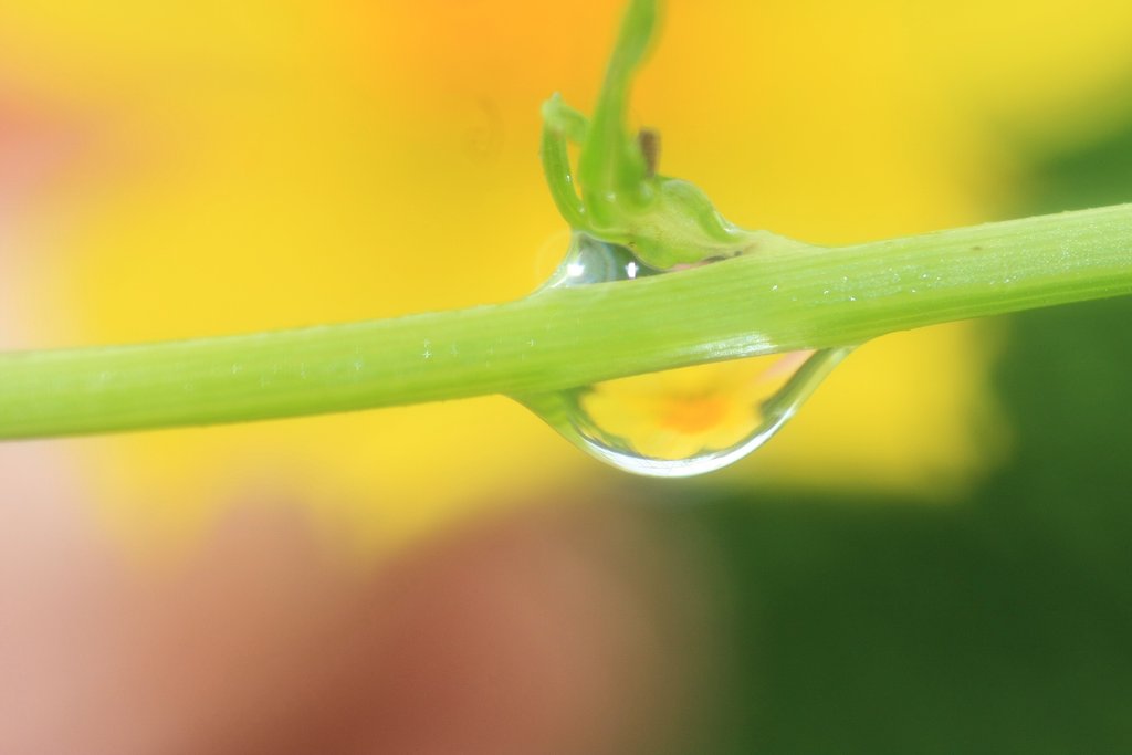 雨上がり