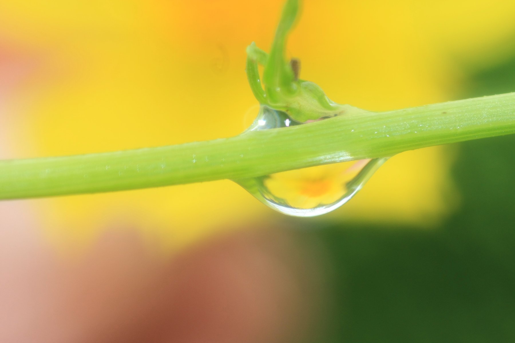 雨上がり