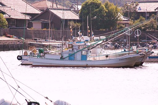 私の前の海