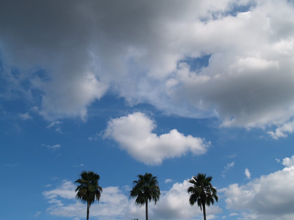 空は青いか